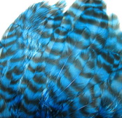 ������� ���� Hen feathers ������ �������